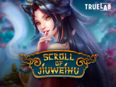 Lotusbet promosyon kodu10